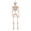 Seasons 5 Ft Lighted Sound Activated Halloween Skeleton W83225