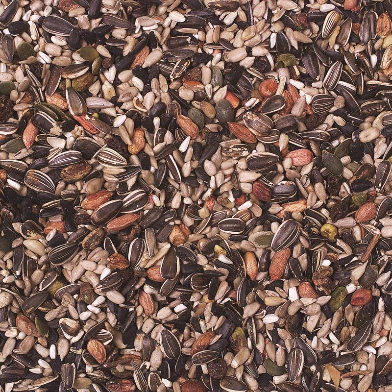 Wild Delight Nut 'N Berry Bird Food