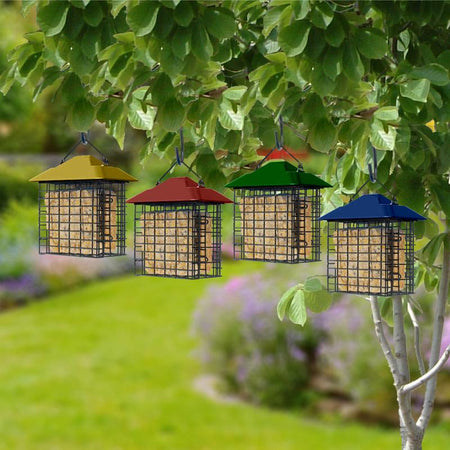 All available colors of the Woodlink 25123 Plastic/Steel Suet Cage Double Suet Basket hanging in a tree