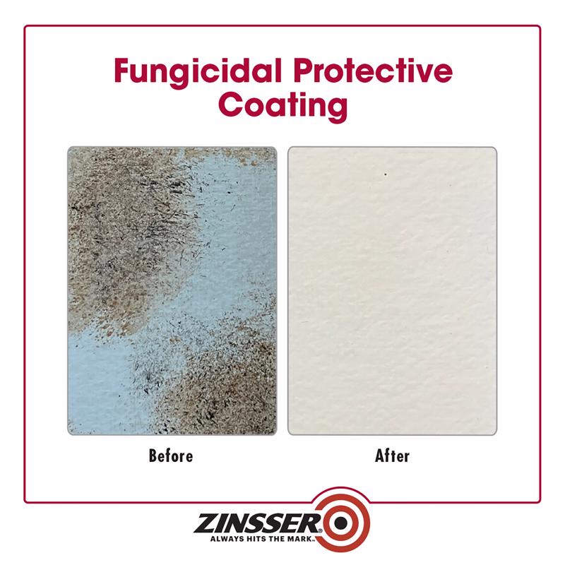 Zinsser Mold Killing Primer Before & After Images