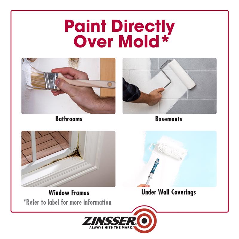 Zinsser Mold Killing Primer for use on infographic