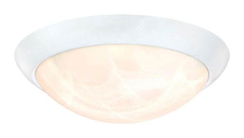 Westinghouse 11-Inch Dimmable LED Indoor Flush Mount Ceiling Fixture 61066