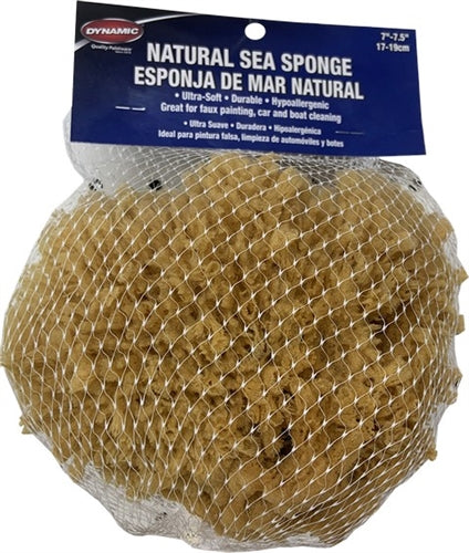Dynamic Sea Sponge