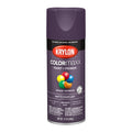 Krylon COLORmaxx Matte Spray Paint